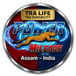 cropped-cropped-logo_150x150_transparent.png